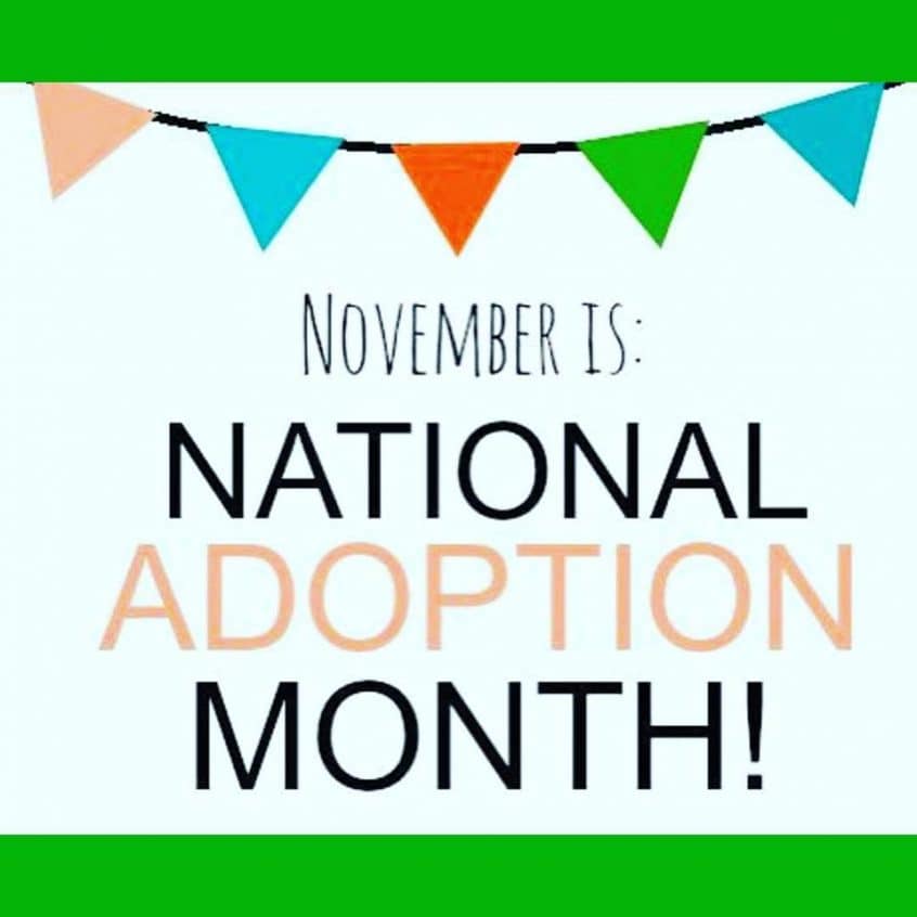 It’s National Adoption Month!